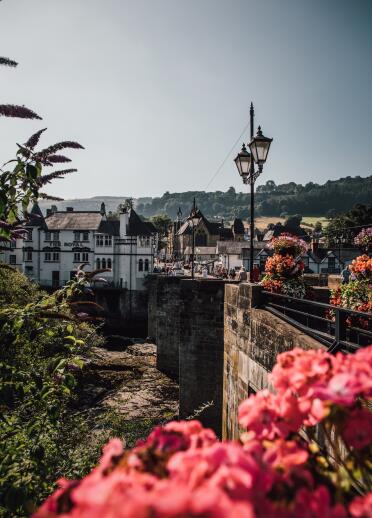 stone bridge with flowers in foreground and town in background.