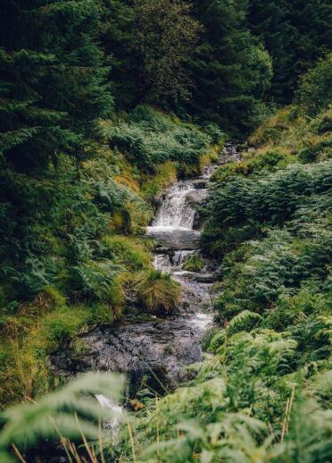 Ein Wasserfall im Wald.