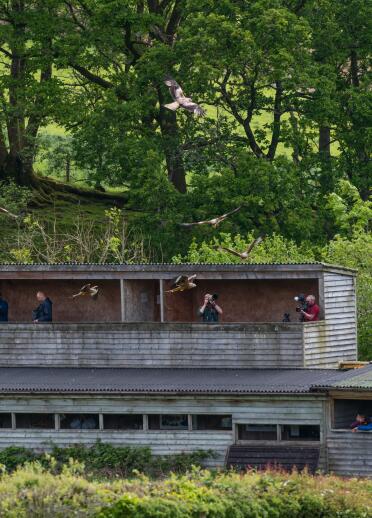 A wooden bird hide with people using binoculars looking out.