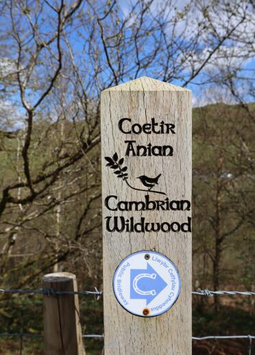 sign post with words 'Coetir Anian' and 'Cambrian Wildwood'.