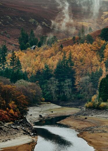 Forest and river in the Elan Valley.