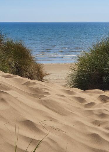A sandy path through dunes looking to beach on sunny day.