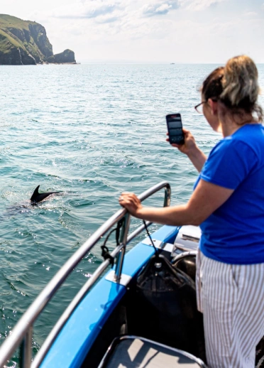A woman watches dolphins from the boat trip