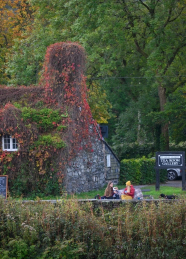 People having a drink outside an ivy-clad building.
