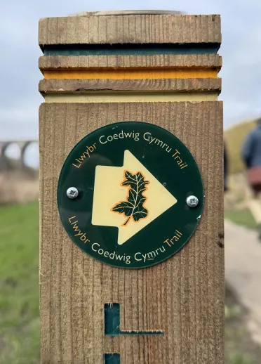 A path waymaker for the Llwybr Coedwig Cymru Trail in a country park.