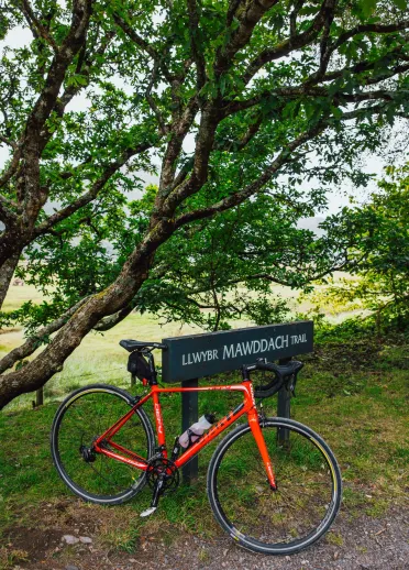 Red bicycle leaning against a sign reading “Llwybr Mawddach Trail” beneath leafy trees in a grassy area.