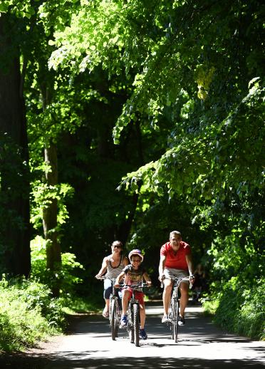 Three people cycling along the Taff Trail under the trees