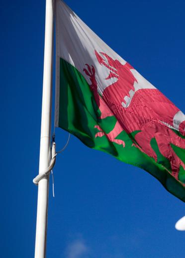 Die walisische Nationalflagge. 