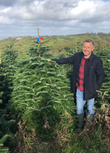Man standing in a field with a Christmas tree.