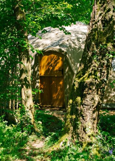 Penhein ‘alachigh’ tent nestled woodland.