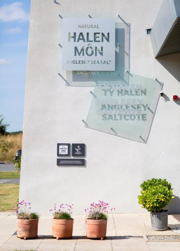 Halen Mon signs outside the white building entrance with green plant and pink flowers below. 