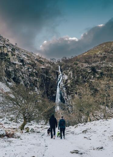 people walking dogs in snow with waterfall in background.
