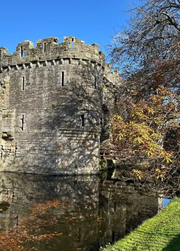 castle and moat with tree.