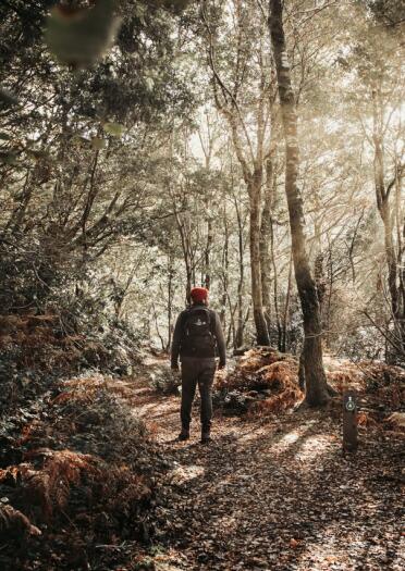 A man walking through sunlit dappled Autumn woodland at the Centre for Alternative Technology, Machynlleth