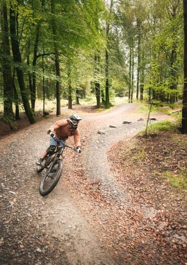 A mountain biker riding downhill on a dirt track amongst forestry.