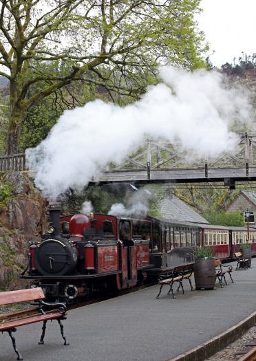 Steam train bellowing white steam from its funnel travelling under a bridge into the station.
