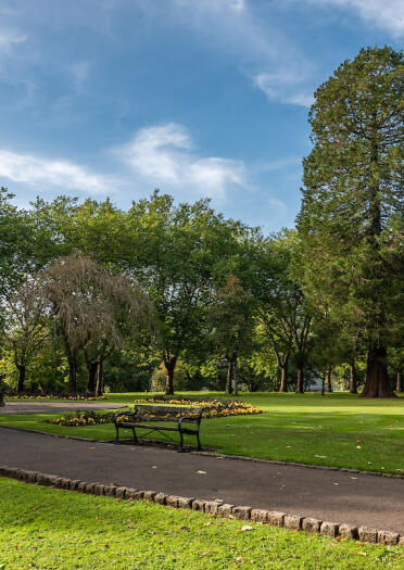 Parkbank an einem Weg, umgeben von grünen Rasenflächen und Bäumen.