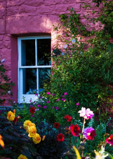 A pink house adorned with flowers.