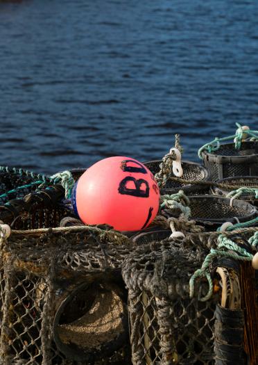 Fishing baskets and pink bouy.