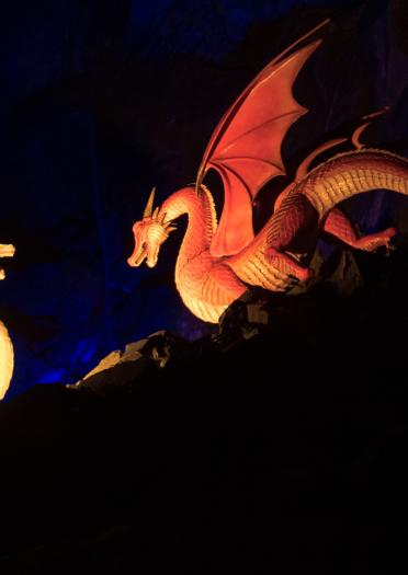 Two Welsh Dragons lit up in the dark.
