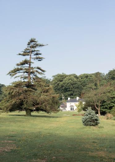 Ynyshir, Eglwys Fach, eingebettet zwischen den Bäumen – in der Ferne.