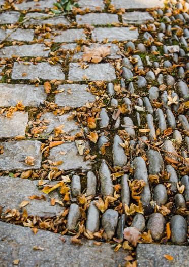 Close up image of cobbles and paving stones with autumnal leaves