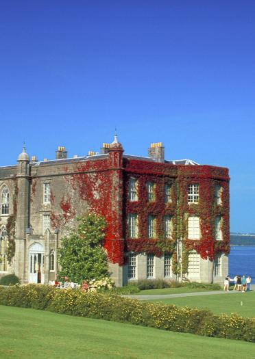 Exterior view of Plas Newydd covered in red creeping ivy with the sea in the background.