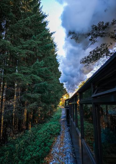 Brecon Mountain Railway train going past forest with steam flowing from the funnel.