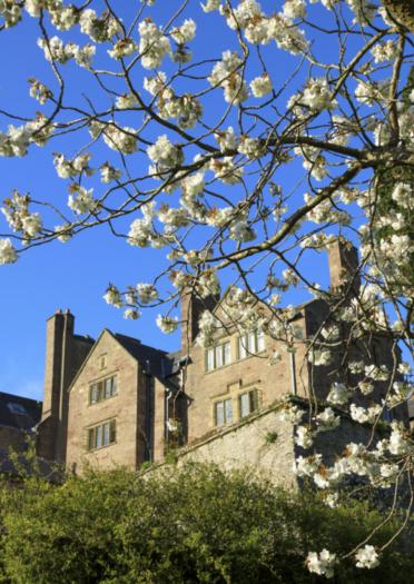 blossom in foreground with country house in background
