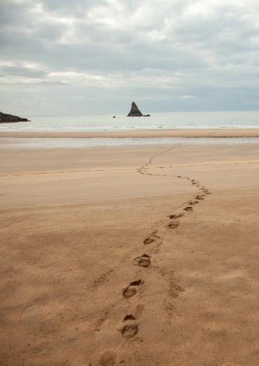 Fußspuren im Sand an einem Strand mit Meer im Hintergrund.