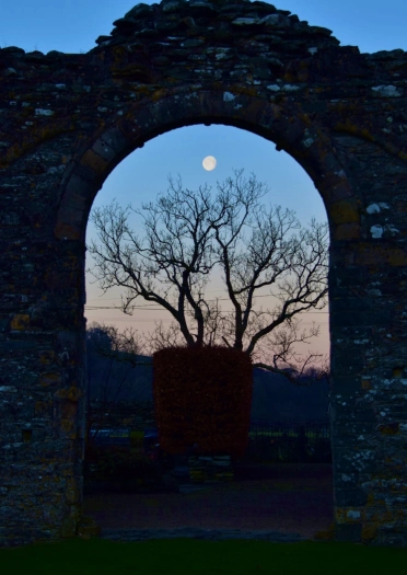 Ruins of an abbey in the evening light.
