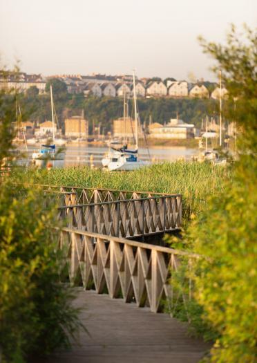 wooden boardwalk with fences with boats in the background.
