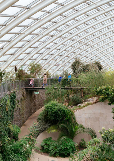 Adults and children walking across an bridge in a botanical garden.