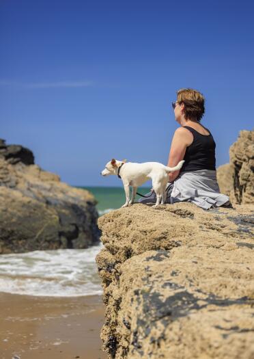 woman and dog sat on rock on beach.