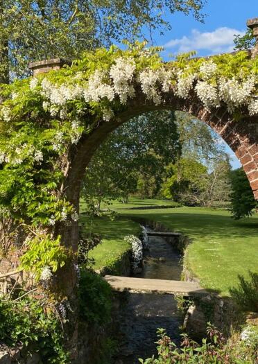 Archway with white flowering plant over water.
