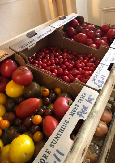 Eine Auswahl von Tomaten in Kisten