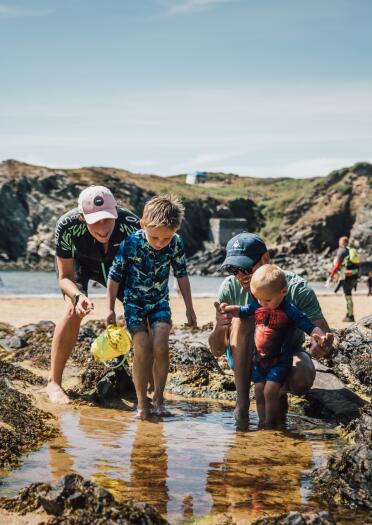 Four children exploring a rock pool on a beach.