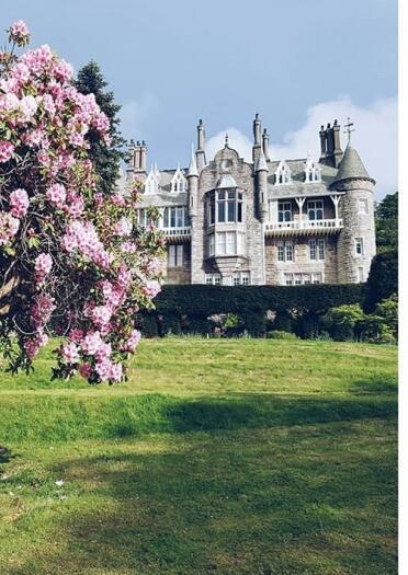 Ornate Gothic hotel with tree filled with pink blossom in foreground