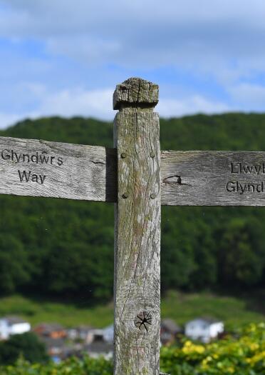biligual signpost with words Glyndŵr's Way and Llwybr Glyndŵr.