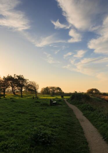 Low sun over a grassy park with a narrow footpath and reed beds on one side.