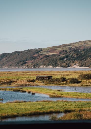 A wide salt marsh estuary looking towards hills. 