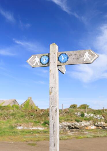 A wooden walking trail signpost by a coastal pathway. 