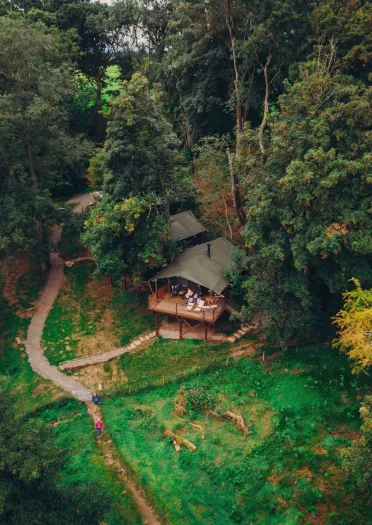 Aerial shot of a treehouse at a glamping retreat surrounded by green forestry.