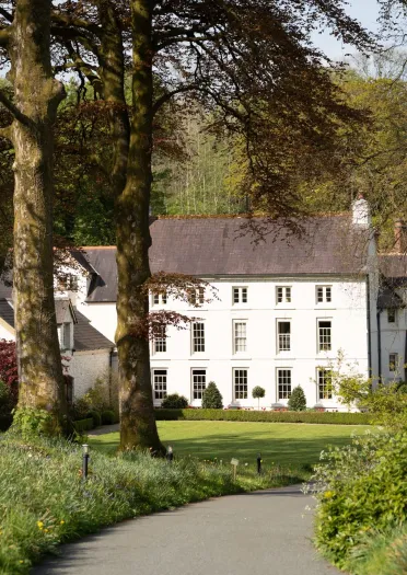 An elegant stately white mansion with three floors nestled in a wooded garden, featuring a dark roof, numerous windows, and a tree-lined pathway.
