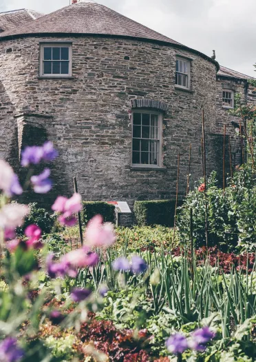 castle garden with sweet peas and castle in background.