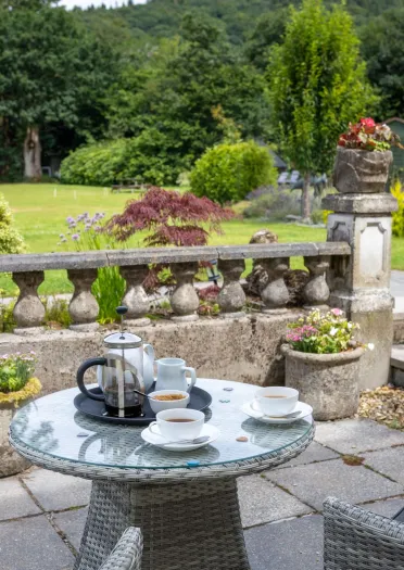 tea served on garden table with dog, garden and trees.