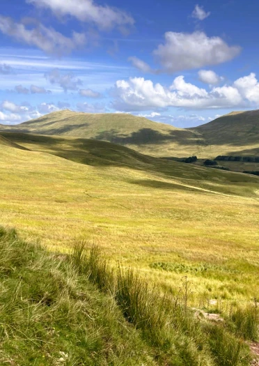 Grüne Hügel unter blauem Himmel