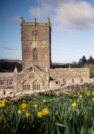 A large cathederal with daffodils in the foreground.