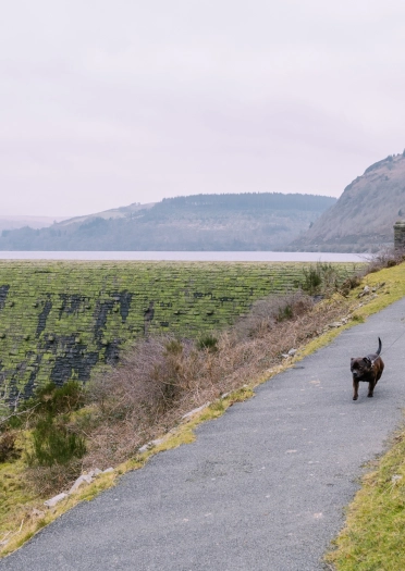 A lady using a mobility scooter and her dog on a tarmacked trail by a reservoir.