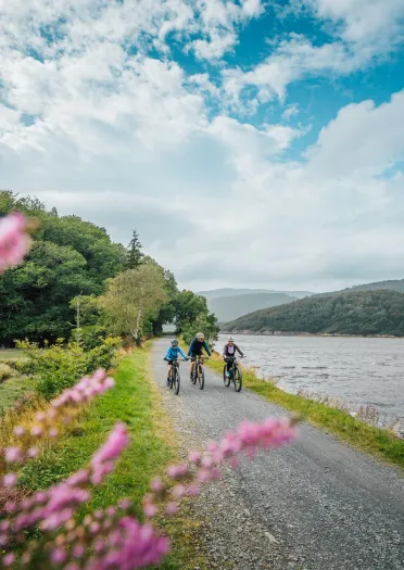 Three cyclists ride along a gravel path beside a lake, with wooded hills and pink heather in the foreground.